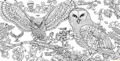 This page is about extremely hard coloring pages for adults. Animorphia Owls Hard Coloring Pages - Hard Coloring Pages ...