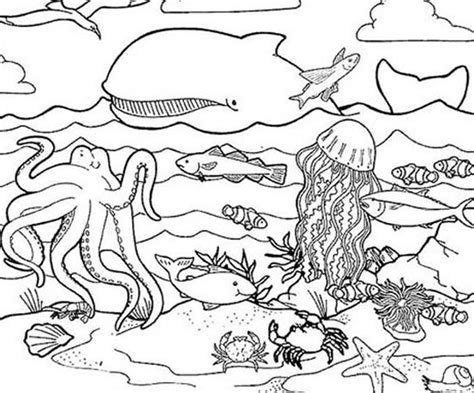 Coloring Pages Of Sea Animals Coloring Home