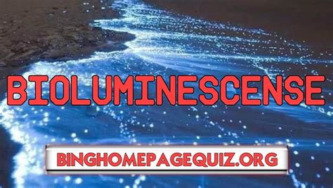 What Is The Bing Bioluminescence Quiz Bing Homepage Quiz