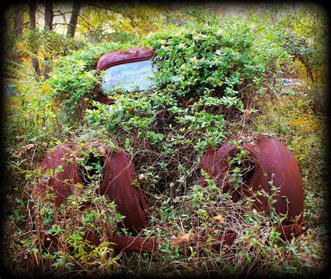 Abandoned In Shenandoah County Virginia