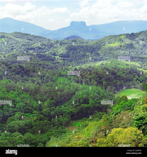 Mountains On Island Of Sri Lanka Covered Forest Stock Photo Alamy