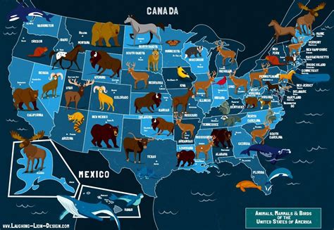 United States Wildlife Map