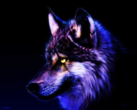 Cool Purple Wolves Unusual Fixed Wolf Wallpaper By Wolfkermek Dcuz