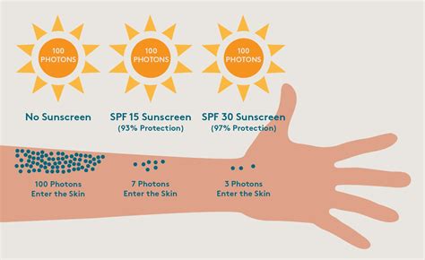 [sun care] why sunscreen is important r skincareaddiction