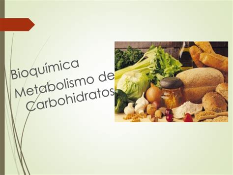 Ppt Metabolismo De Los Carbohidratos Priscila Ayala