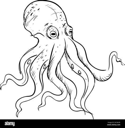 Octopus Drawing Illustration Vector On White Background Stock Vector