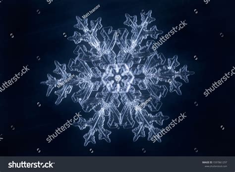 Real Snowflake Microscope Shot Stock Photo 1597861297 Shutterstock