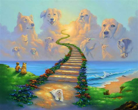 Are Dogs Allowed In Heaven