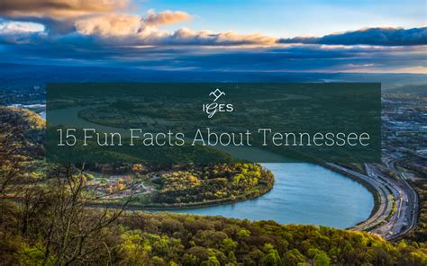 15 Amazing Things To Know About Tennessee Iges