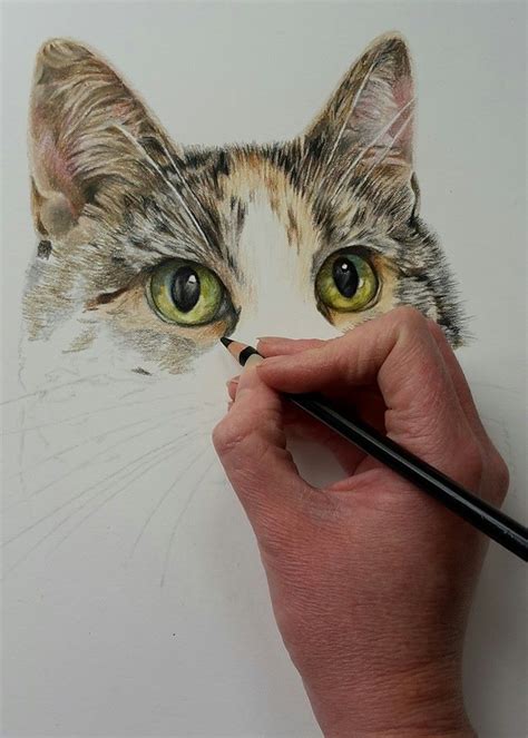 Cat Pencil Portraits Commission Your Own Here Cats Art Drawing