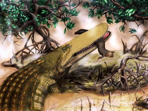 Fossilized Skull Of Giant Crocodile From Cretaceous The New York Times