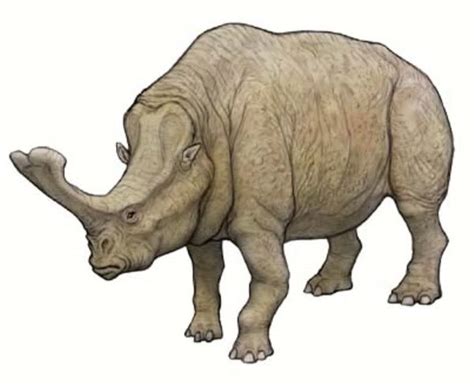 Art Illustration Prehistoric Mammals Embolotherium Is A Belonging