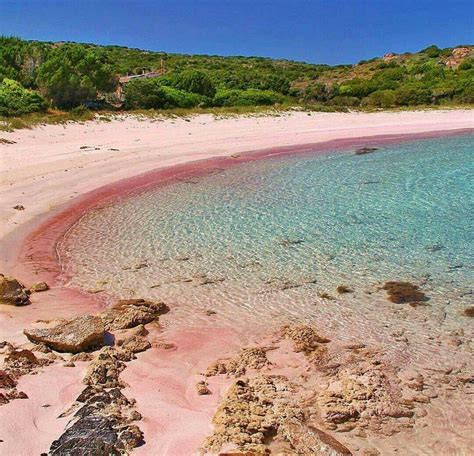 La figlia di chi l'aveva sottratta scrive una lettera su facebook all'associazione sardegna depredata: Spiaggia rosa, Budelli Sardegna | Spiaggia rosa, Spiaggia ...