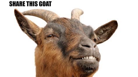 Year Of The Goat The Internet Gets A New Mascot Wired Uk