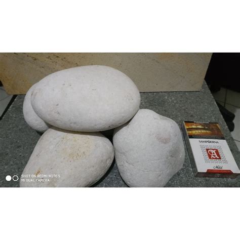 Jual Batu Koral Kupang Putihbatu Tabur Taman Batu Putih Aquarium Batu