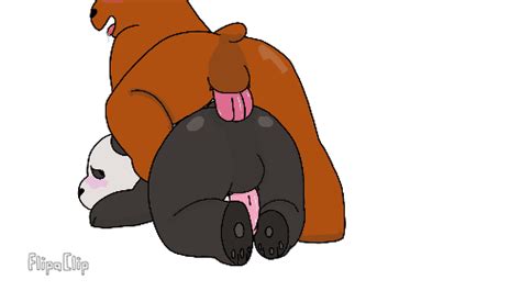 Rule 34 All Fours Anal Anal Sex Animated Bear Blush Cartoon Network