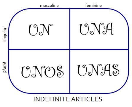 They are used in french and italian in addition to definite and indefinite articles. Indefinite Articles - SpanishTechbook