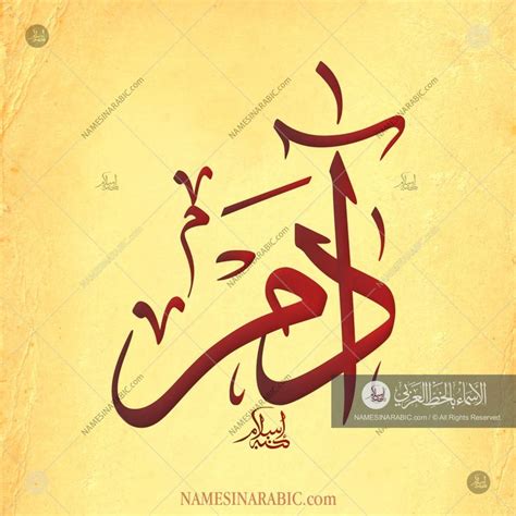 Adam Name In Arabic Calligraphy Arabic Calligraphy Art Farsi