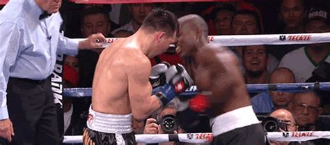 Boxing  Find And Share On Giphy