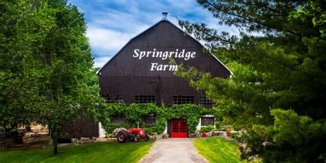 Springridge Farm celebrates 60 years - West of the City