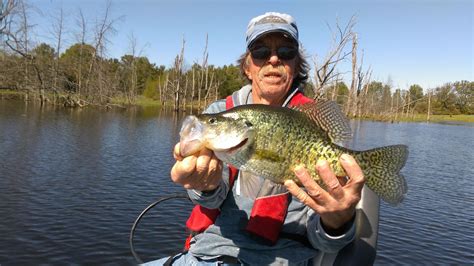 Early Season Crappie Tips Crappie Fishing Crappie Crappie Fishing Tips