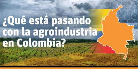 Pese a la decisión del gobierno, las protestas continúan en algunos lugares de colombia. ¿Qué esta pasando con la agroindustria en Colombia? - Land ...