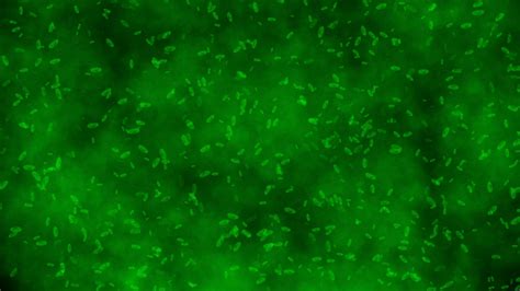 Verde Germen Bacterias Célula Animado Microscopio Médico Antecedentes