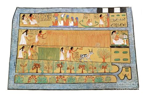 Agriculture In Ancient Egyptian Tomb Scene Photograph By Metropolitan Museum Of Art Science