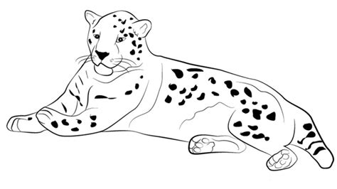 Jaguar Drawing Easy How To Draw A Jaguar For Beginners Step By Step