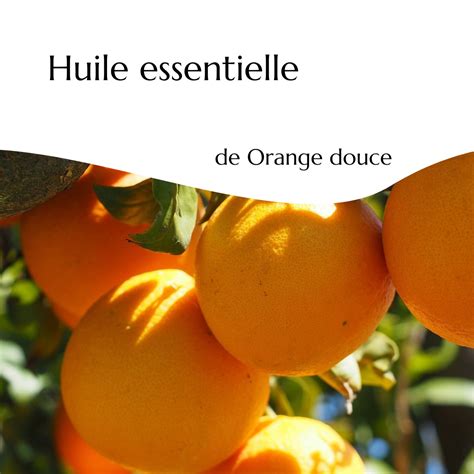 Orange Douce Bio Huile Essentielle Vegetal Green