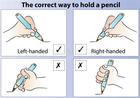 Sep 28, 2010 · by age 3 to 4 a child will switch to a static tripod grasp or quadrupod grasp. The Correct Way To Hold A Pencil Stock Illustration - Illustration of children, pencil: 97768892
