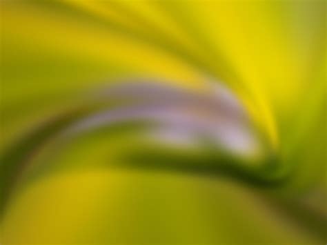 Premium Photo Abstract Motion Blur Background Of Flowers Curve And