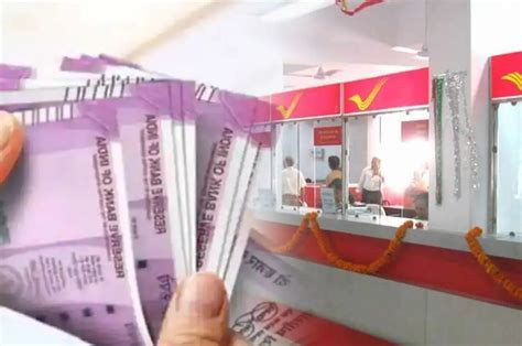 Post Office Schemes Strong Interest Is Being Received On These Post Office Savings Schemes