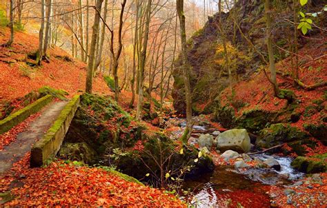Autumn Stream Wallpapers Top Free Autumn Stream Backgrounds