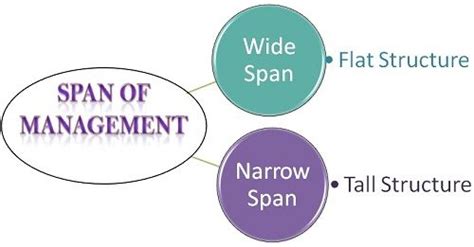 What Is Span Of Management Definition And Meaning Business Jargons
