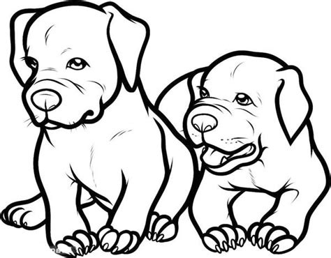Two Adorable Baby Pitbull Dog Coloring Page Coloring Sky Dog Coloring