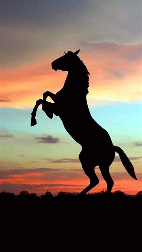 40 Amazing Silhouettes Art For Inspiration Bored Art Horse