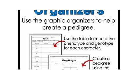 Pedigree Activities and Worksheets by Classroom 214 | TpT