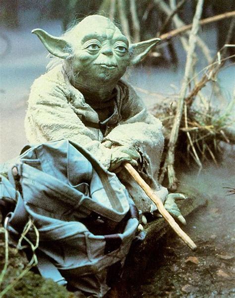 Empire Strikes Back Wallpaper Filme Solo Do Mestre Yoda Mestre Yoda
