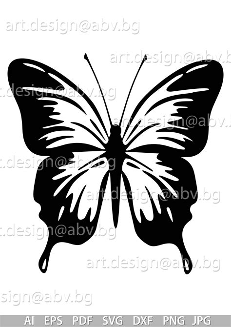 Art And Collectibles Butterfly Png Sublimation Fİle Svgpdf Butterfly Png
