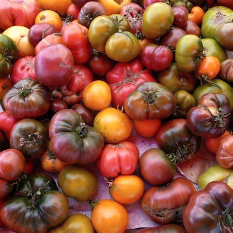 Heirloom Tomatoes Thumbnail Tastefood