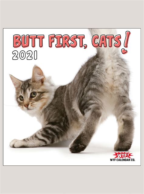 2021 Butt First Cats 12 X 12 Wall Calendar Shop The Gladstone