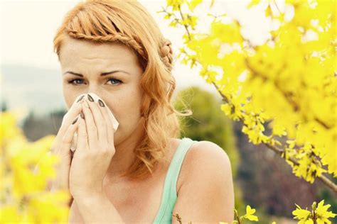 Comment lutter contre les allergies respiratoires Ma santé au sommet