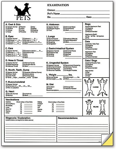 Pet Exam Form Smartpractice Veterinary