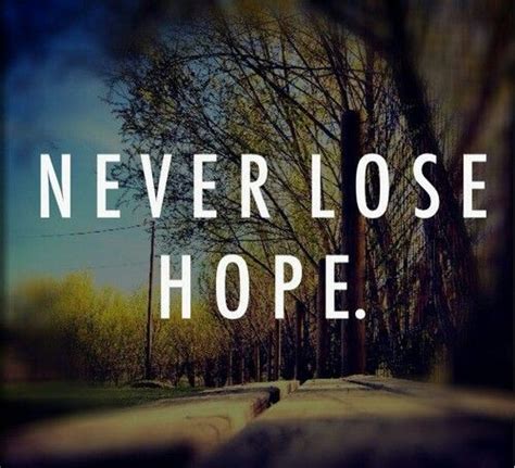Never Lose Hope Quotes And Sayings Never Lose Hope Picture