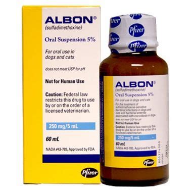 Maybe you would like to learn more about one of these? Albon Oral Suspension for Dogs & Cats | On Sale | EP Rx
