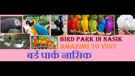 Bird Park Nashik City Bird Sanctuary In Nashik Mhasrul Nirmal Ganga