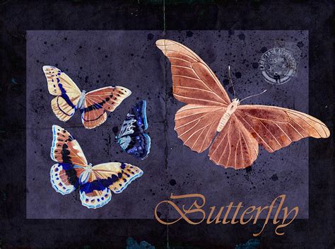 Blue Butterfly Etc S044a Digital Art By Variance Collections Pixels