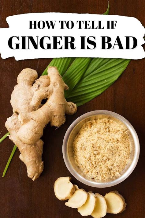 Does Ginger Go Bad Spoilage And Storage Tips 2022