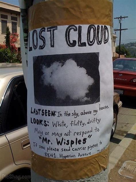 The Funniest Street Fliers Missing Posters Lost And Found Funny Signs